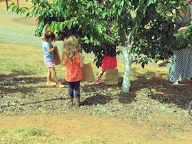 Kids picking cheeries